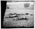 Date Created/Published: 1863 July
Summary: Photograph from the main eastern theater of the war, Gettysburg, June-July, 1863.