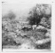 Date Created/Published: 1863 July
Summary: Photograph from the main eastern theater of the war, Gettysburg, June-July, 1863