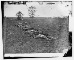 Date Created/Published: 1862 September.
Summary: Photograph from the main eastern theater of the war, Battle of Antietam, September- October 1862